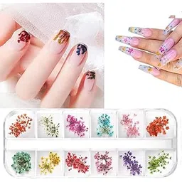 1 Box Dried Flowers for Nail Art, D.B.Z. 12 Colors Dry Flowers Mini Real Natural Flowers Nail Art Supplies 3D Applique Nail Decoration Sticker for Tips Manicure Décor (Gypsophila)-picture-54