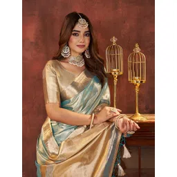 100 Dreams Woven Design Zari Organza Banarasi Saree With Blouse-picture-16
