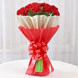 12 Red Carnations Bouquet in Red & White Paper-picture-37