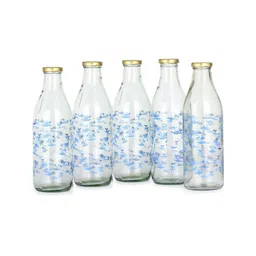 1ST TIME Set Of 5 Transparent Glass Freezer Safe Water Bottle-picture-33