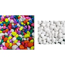 2 Kg Multi-Color Pebbles for Decoration - Pebbles for Plants Pots, Fish Tank Aquarium, Tabl,Schmick 1 Kg Polished White Pebbles Stones for Plant pots, Aquarium/Fish Tank, Decorations, Garden,-image-32