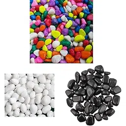 2 Kg Multi-Color Pebbles for Decoration - Pebbles for Pla,Schmick 1 Kg Polished White Pebbles Stones for Plant pots, Aquari,Schmick 1 Kg Black Pebbles Stones for Plants Pots, Fish Tank Aqua-image-29