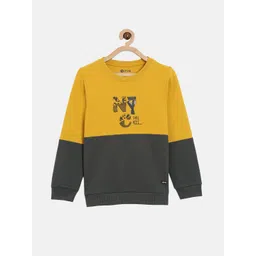 3PIN Boys Mustard Colourblocked Sweatshirt-picture-34