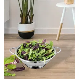 5 needs Vina Stainless Steel 2.35 Ltr Strainer-picture-42