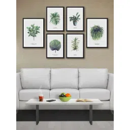 999store Grey & Green Leaves And Plant Multi Frame Painting-image-12