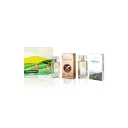 A Fragrance Story Morning Brews Eau de Parfum Gift Set-picture-15