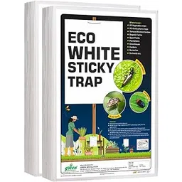 A4 Size White Sticky Traps Non-Toxic, Chemical Free Insect Trap for Fungus Gnats, Aphids, Whiteflies, Leaf Miners, Thrips Insects Pack of 1 (25 pcs).-picture-10