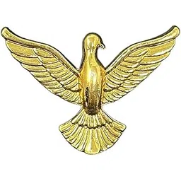 aamiya creations Flying Bird Brooch for men-picture-10