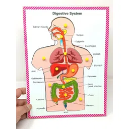 A&A Kreative Box Puzzles Activity Toys and Games-picture-30