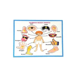 A&A Kreative Box Puzzles Activity Toys and Games-picture-18