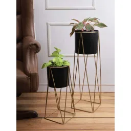 Aapno Rajasthan Black & Golden Metal Planter Pot with Stand-picture-37