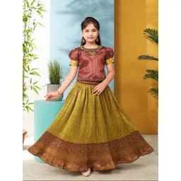 Aarika Girls Embellished Beads and Stones Ready to Wear Lehenga &-picture-10