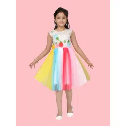Aarika Girls Multicolor Embellished Dress-picture-26