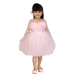 Aarika Girls Pink Applique Detail Net Dress-picture-55