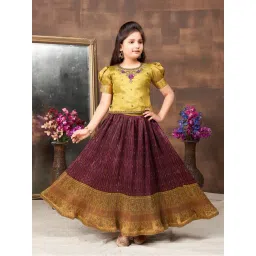 Aarika Kids Green & Purple Embroidered Lehenga with Choli-picture-40