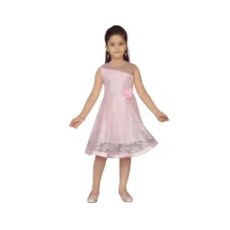 Aarika Kids Pink Printed Frock-picture-43