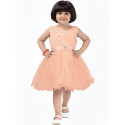 Aarika Net Dress-picture-39