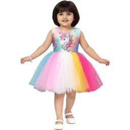 Aarika Net Dress-picture-18