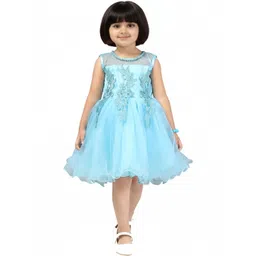 Aarika Net Dress-picture-24