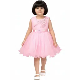 Aarika Net Dress-picture-51