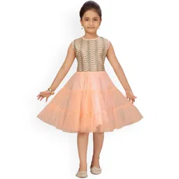 Aarika Peach-Coloured Net Fit & Flare Dress-picture-26