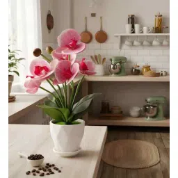 aarvi decor studio Pink Silk Fabric Orchid Radiance Arrangement Pot With Flower-picture-22