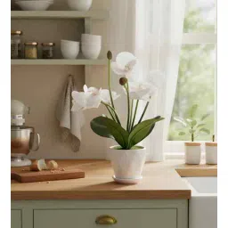 aarvi decor studio White Silk Fabric Orchid Radiance Arrangement Pot With Flower-picture-38