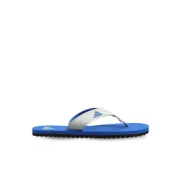 Adidas Men's BISE PROTOP Grey Flip Flops-picture-26