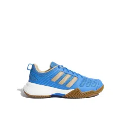 Adidas Men's INDOOR SWING Blue Indoor Court Shoes-picture-27