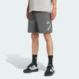 adidas performance Mercedes - AMG Petronas Formula One Team Silver Arrows Short-picture-15