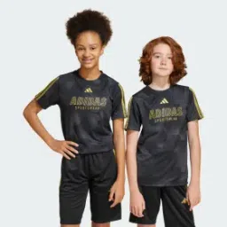adidas sportswear House of Tiro Colors of Football Tee Kids-picture-40