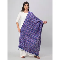 Aditi Wasan Blue Printed Dupatta-picture-18