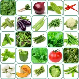 Aero Seeds 150g 25 Varieties Vegetable Seeds, Aero-Veg-25-picture-45