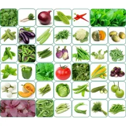 Aero Seeds 150g 40 Varieties Vegetable Seeds, Aero-Veg-40-picture-36