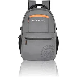aeropostale Backpack Basin - Grey | Durable 2-Compartment Laptop Backpack With Rain Cover Compartment | Bag For School, College And Work | Padded Back And Multiple Utility Pockets-picture-27
