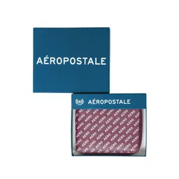 Aeropostale Men Typography Printed Zip Detail Leather Two Fold Wallet-picture-29