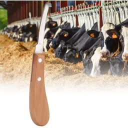 agarwals Double-Sided Hoof Knife for Cow, Goat, Horse & Sheep Horse Hoof Care Kit-picture-11