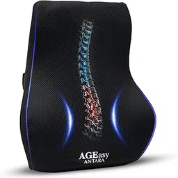 AGEasy (Max Group Lumbar Back Support | Orthopedic Lumbar Support for Back Pain Relief | High Density Memory Foam (Black)-image-7