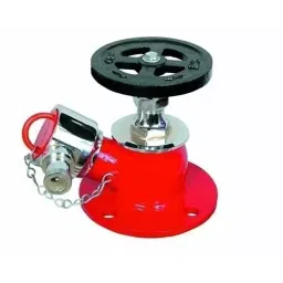 Agni Shield 63 mm Outlet Size Stainless Steel Fire Hydrant Valve, ‎T0-BKDK-5IYM-picture-20