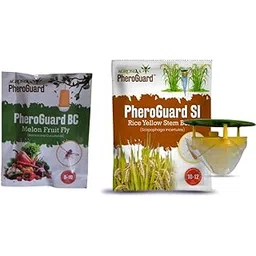 Agrosiaa PheroGuard BC Bactrocera Cucurbitae Lure | Melon Fruit Fly Control for Agriculture Pack of 5 | & | SI Combo Pack Advanced Pheromone Lure Funnel Trap Solution, Pack of 5-image-28