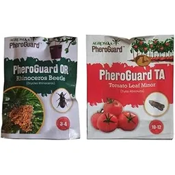 Agrosiaa PheroGuard OR Lure for Rhinoceros Beetle - Agriculture Use | 50-60 Days Life | (Pack of 5) | & | TA Tuta Absoluta Lure | Tomato Leaf Miner Control for Agriculture | Pack of 20-image-47