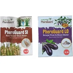 Agrosiaa PheroGuard SI Rice Yellow Stem Borer Lure - Scirpophaga Incertulas | Pack of 10 | & | LO Leucinodes Orbonalis Lure | Brinjal Fruit & Shoot Borer Control | Pack of 5-picture-22