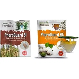 Agrosiaa PheroGuard SI Rice Yellow Stem Borer Lure - Scirpophaga Incertulas | Pack of 20 | & | HA Combo Pack Pheromone Lure for Cotton Bollworm Helicoverpa Armigera, Pack of 10 image 1