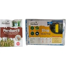 Agrosiaa PheroGuard SI Rice Yellow Stem Borer Lure - Scirpophaga Incertulas | Pack of 5 | & | 8 x 12 cm Blue Sticky Trap Pack of 10 Sheets Garden Agriculture Control-image-19