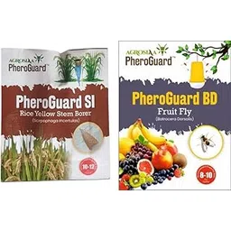 Agrosiaa PheroGuard SI Rice Yellow Stem Borer Lure - Scirpophaga Incertulas | Pack of 5 | & | BD Bactrocera Dorsalis Lure | Fruit Fly Control for Agriculture | Pack of 10-image-4