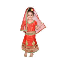 Ahhaaaa Kids Red Embroidered Choli, Lehenga with Dupatta-picture-43
