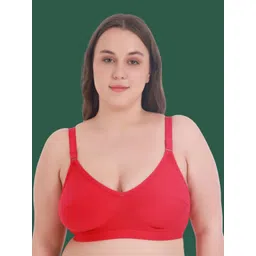 Aimly Bra Full Coverage-picture-34