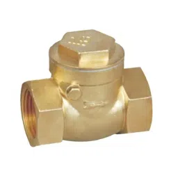 AKARI Brass Horizontal Check Valve 25.4 mm (1 Inch)-picture-31