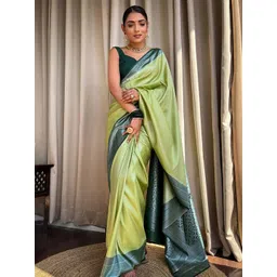 Aldwych Woven Design Banarasi Saree-picture-14