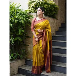Aldwych Woven Design Zari Banarasi Saree-picture-21